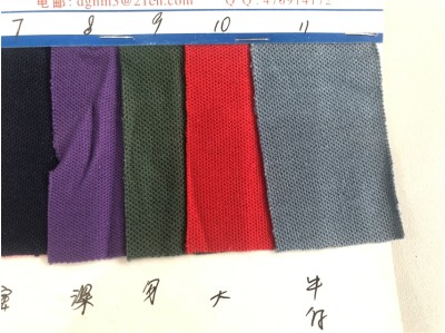 DG-TL 319 21支全棉雙珠地 230g 正面照